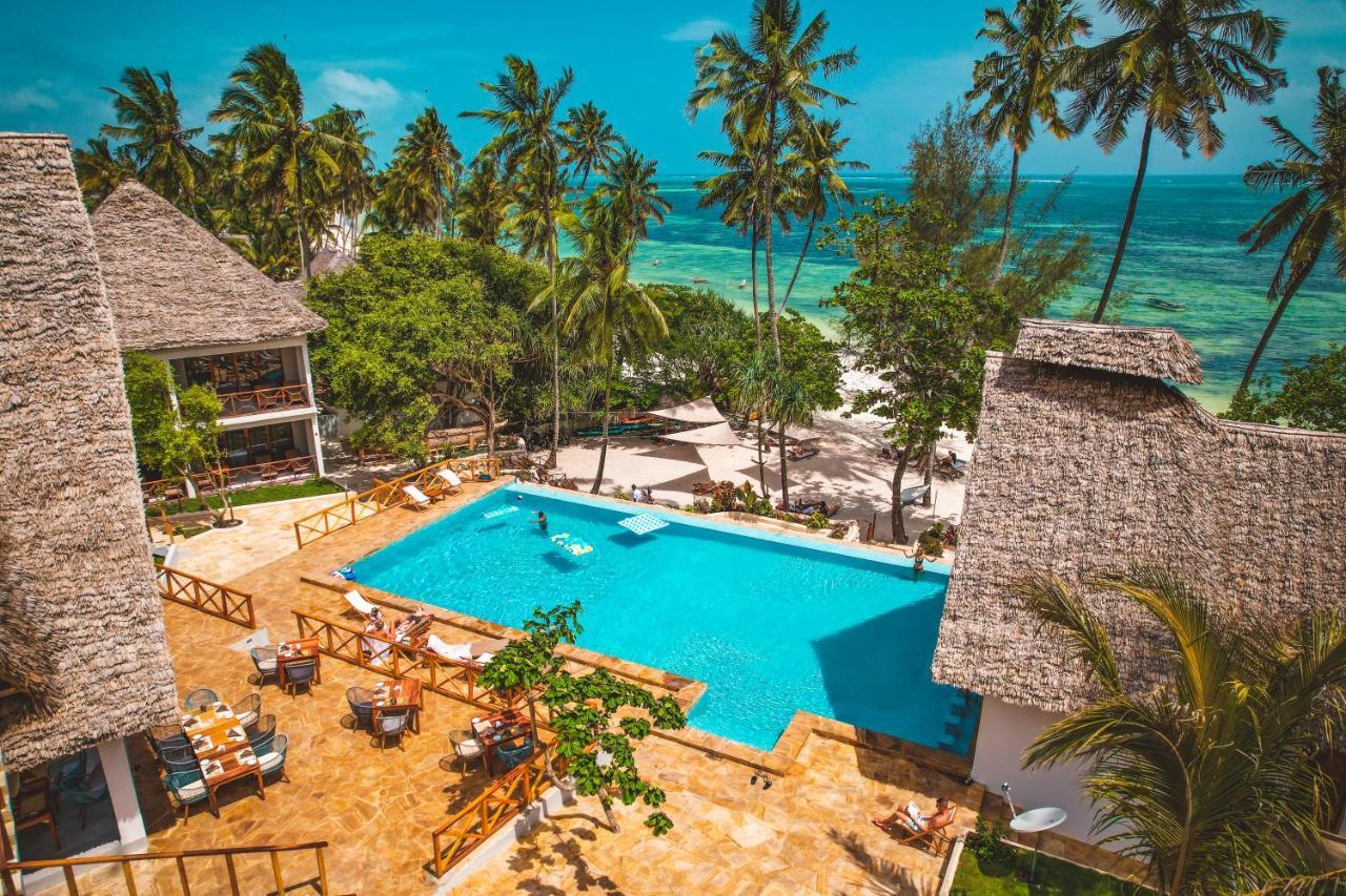 Zanzibella Hotel & Spa キウェンワ エクステリア 写真 The swimming pool at the resort